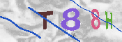 CAPTCHA 驗證圖片