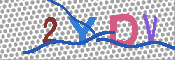 CAPTCHA 驗證圖片