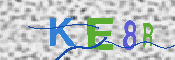 CAPTCHA 驗證圖片