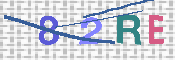 CAPTCHA 驗證圖片