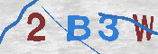 CAPTCHA 驗證圖片