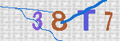 CAPTCHA 驗證圖片