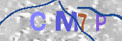 CAPTCHA 驗證圖片