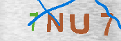 CAPTCHA 驗證圖片