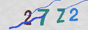 CAPTCHA 驗證圖片
