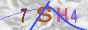 CAPTCHA 驗證圖片