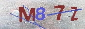 CAPTCHA 驗證圖片