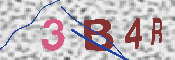CAPTCHA 驗證圖片