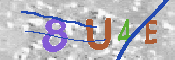 CAPTCHA 驗證圖片