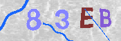 CAPTCHA 驗證圖片