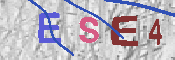 CAPTCHA 驗證圖片