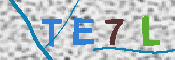 CAPTCHA 驗證圖片