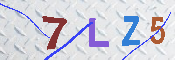 CAPTCHA 驗證圖片