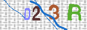 CAPTCHA 驗證圖片