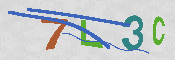 CAPTCHA 驗證圖片