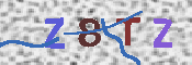 CAPTCHA 驗證圖片