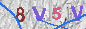 CAPTCHA 驗證圖片