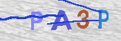 CAPTCHA 驗證圖片
