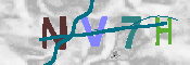 CAPTCHA 驗證圖片