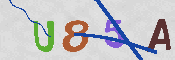 CAPTCHA 驗證圖片