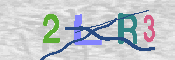 CAPTCHA 驗證圖片
