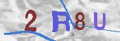CAPTCHA 驗證圖片