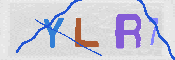 CAPTCHA 驗證圖片