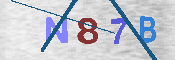 CAPTCHA 驗證圖片