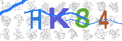 CAPTCHA 驗證圖片