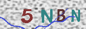 CAPTCHA 驗證圖片