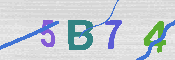 CAPTCHA 驗證圖片
