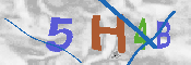 CAPTCHA 驗證圖片