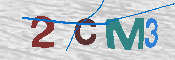 CAPTCHA 驗證圖片