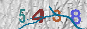 CAPTCHA 驗證圖片