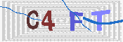 CAPTCHA 驗證圖片