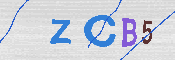 CAPTCHA 驗證圖片