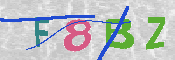 CAPTCHA 驗證圖片