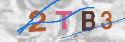 CAPTCHA 驗證圖片