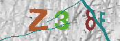 CAPTCHA 驗證圖片
