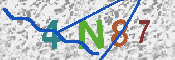 CAPTCHA 驗證圖片