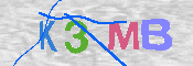 CAPTCHA 驗證圖片