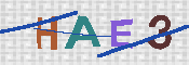 CAPTCHA 驗證圖片
