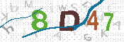 CAPTCHA 驗證圖片
