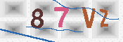 CAPTCHA 驗證圖片