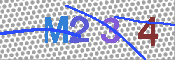 CAPTCHA 驗證圖片
