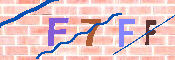 CAPTCHA 驗證圖片