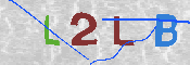 CAPTCHA 驗證圖片