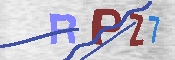CAPTCHA 驗證圖片