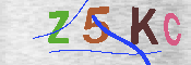 CAPTCHA 驗證圖片