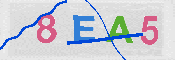 CAPTCHA 驗證圖片